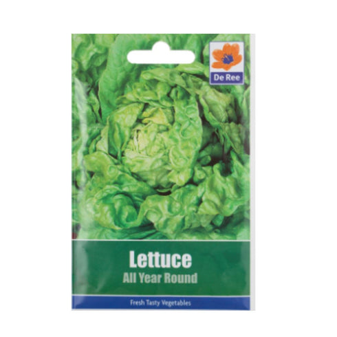 Lettuce All Year Round